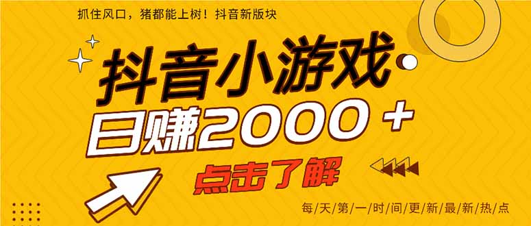 2025年爆火的抖音小游戏项目，一部手机日入2000+-站源网